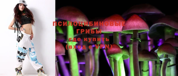соль курить ск Арсеньев