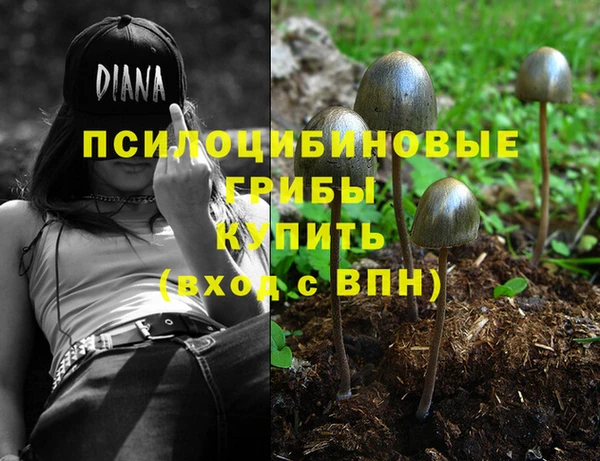мдпв Армянск